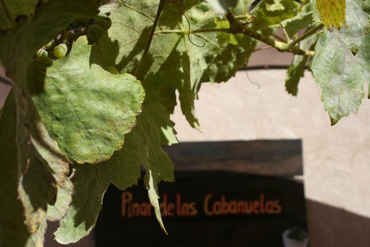 Pinar De Las Cabanuelas Villanueva de Duero Exterior foto